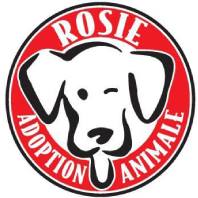 Rosie Animal Adoption