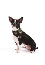 Load image into Gallery viewer, NHL Dog Bandana Boston Bruins by Togpetwear Official Licensee