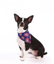 Load image into Gallery viewer, NHL Dog Bandana Montreal Canadiens by Togpetwear Official Licensee