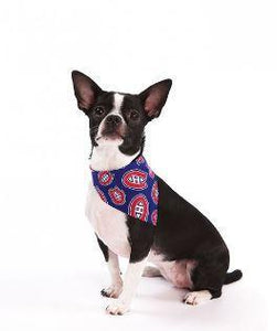 NHL Dog Bandana Montreal Canadiens by Togpetwear Official Licensee