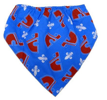 Load image into Gallery viewer, NHL Dog Quebec Nordiques by Togpetwear Official Licensee